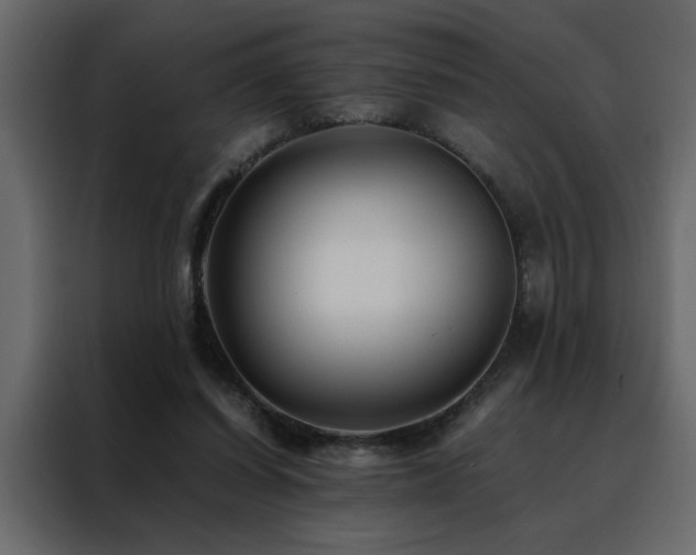 X0000088460254200705221348
