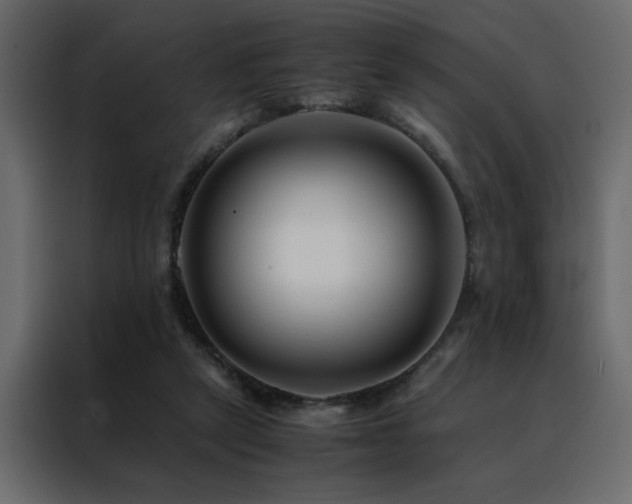 X0000088460257200705221348