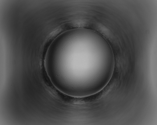 X0000088460258200705221348
