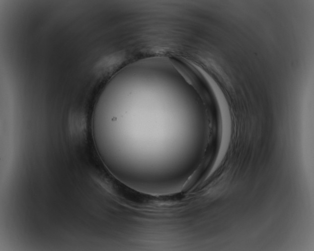 X0000088460260200705221348