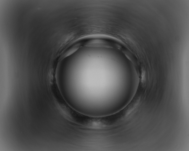 X0000088460264200705221348