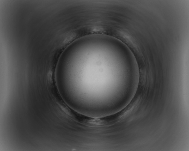 X0000088460269200705221348