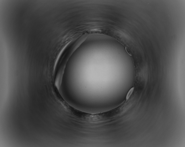 X0000088460277200705221349