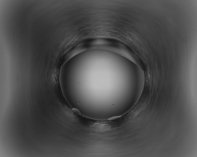 X0000088460280200705221349