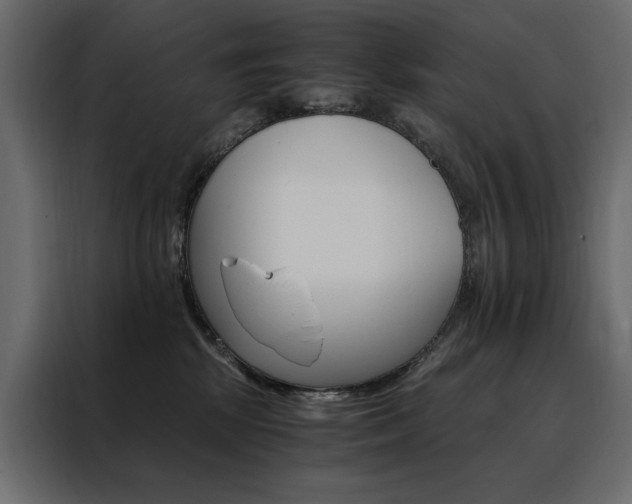 X0000088460281200705221349