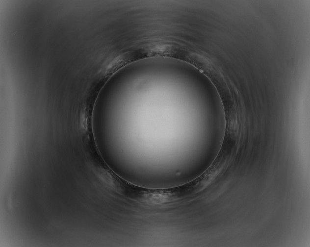 X0000088460282200705221349