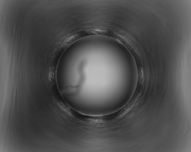 X0000088460284200705221349