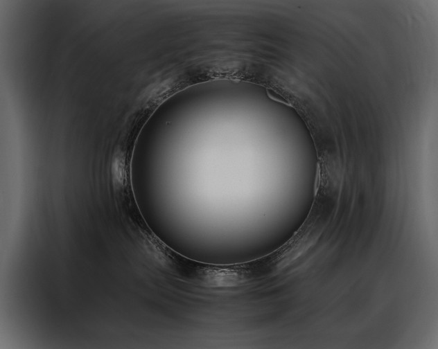 X0000088460287200705221349