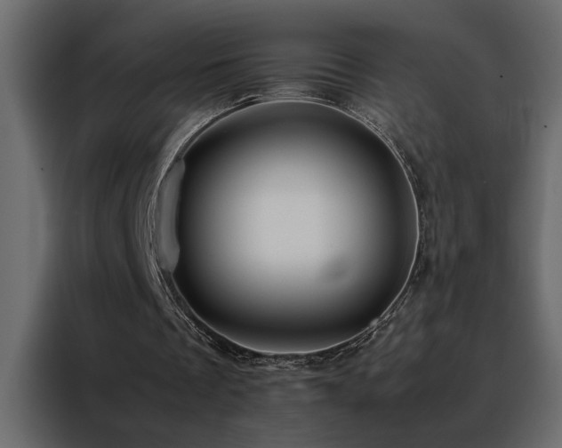 X0000088460289200705221348