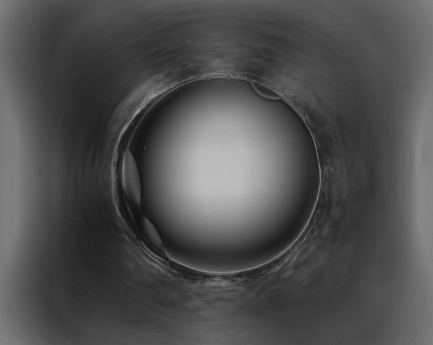 X0000088460290200705221348