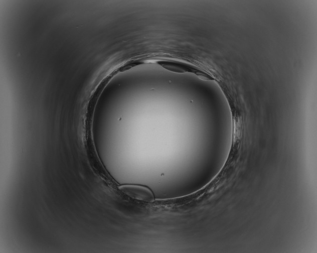 X0000088460291200705221348