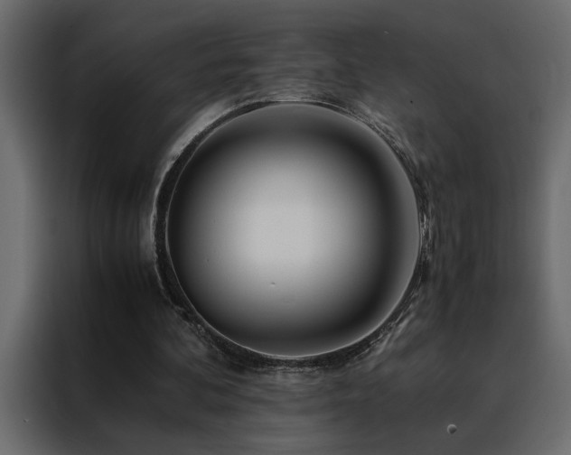 X0000088460292200705221348