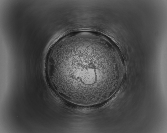 X0000088460293200705221348