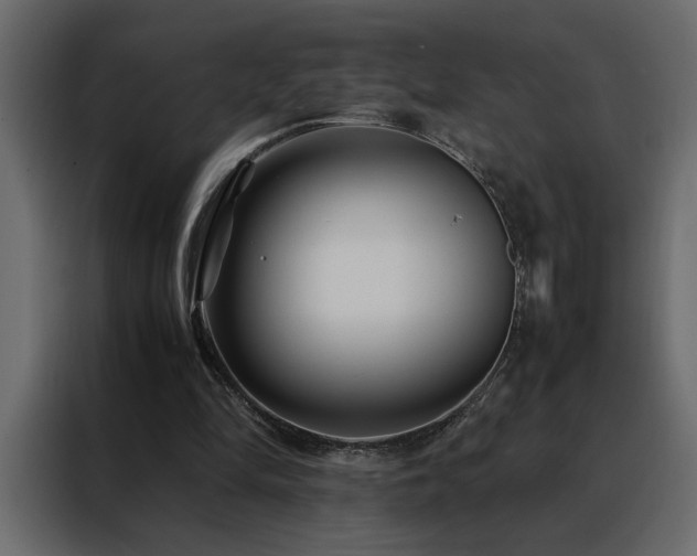 X0000088460294200705221348