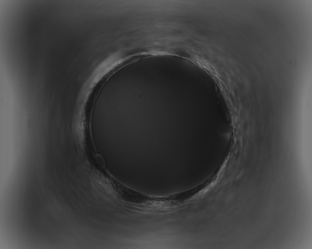 X0000088460295200705221348
