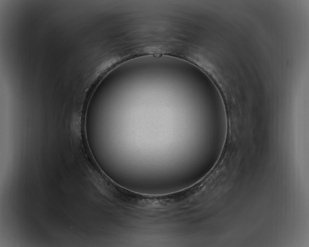 X0000088460297200705221348