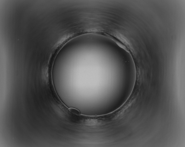 X0000088460298200705221348