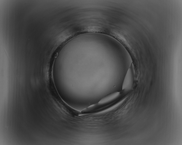 X0000088460299200705221348