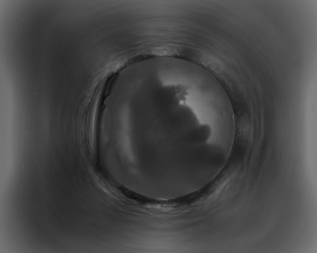 X0000088460303200705221348