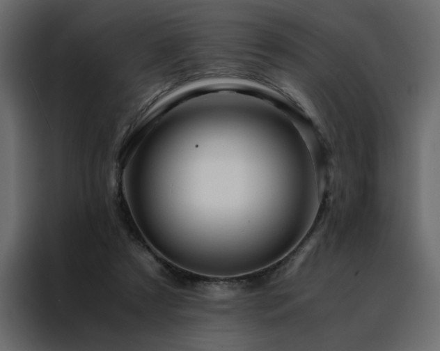 X0000088460305200705221348