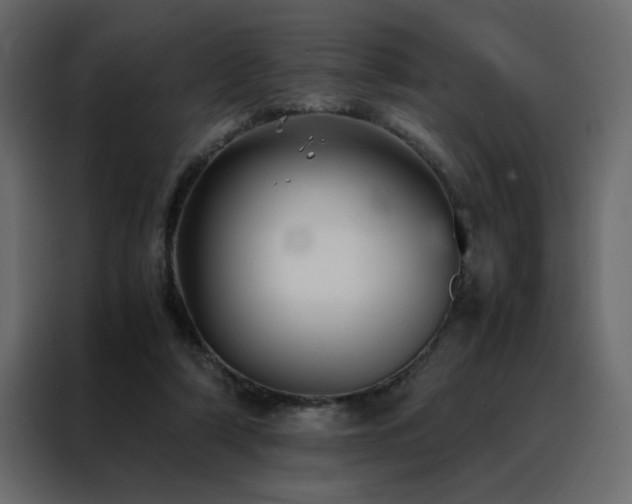 X0000088460306200705221348