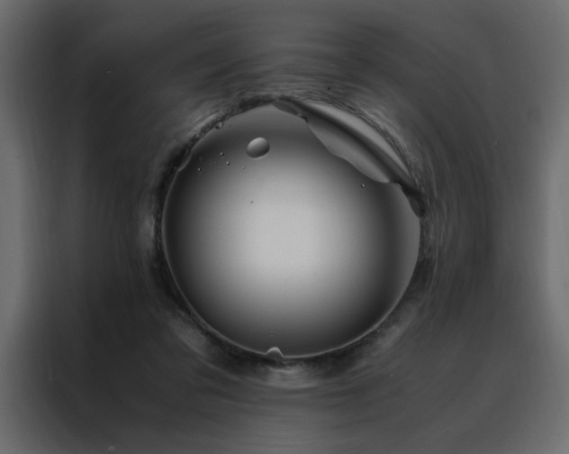 X0000088460309200705221348