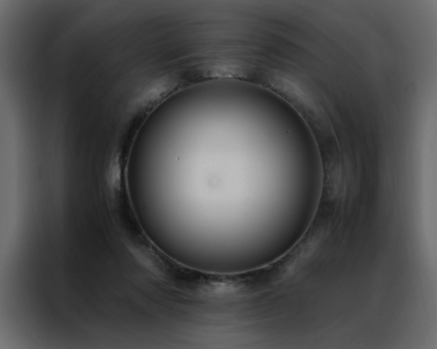 X0000088460310200705221348
