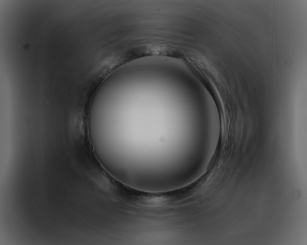 X0000088460313200705221348