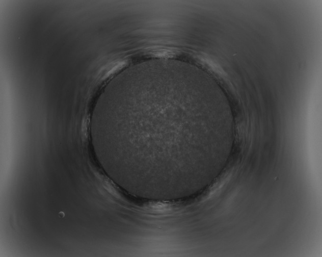 X0000088460325200705221348