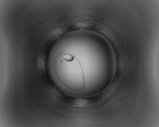 X0000088460328200705221348