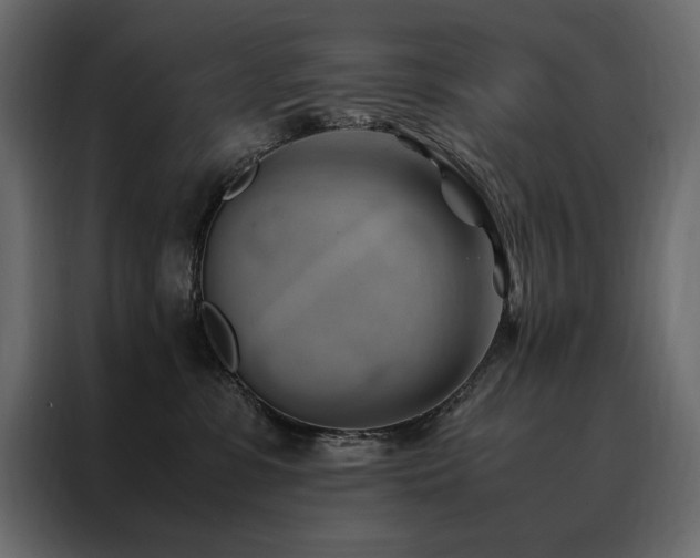 X0000088460331200705221348
