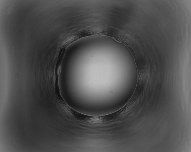 X0000088460335200705221348
