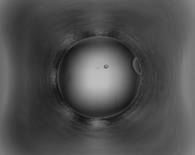 X0000088460336200705221347