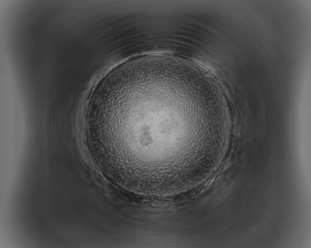 X0000088460337200705221347