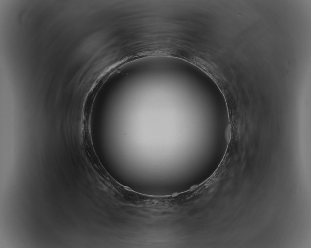 X0000088460338200705221347