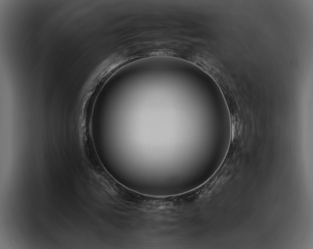 X0000088460339200705221347