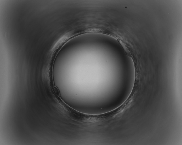 X0000088460341200705221347