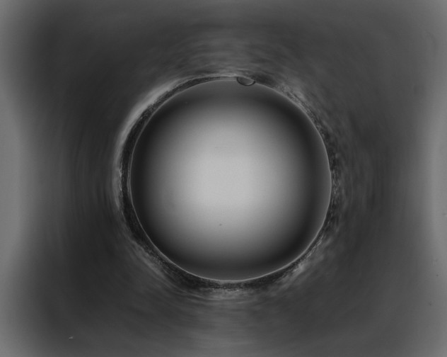 X0000088460342200705221347