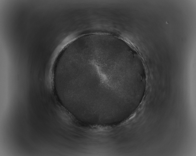 X0000088460343200705221347