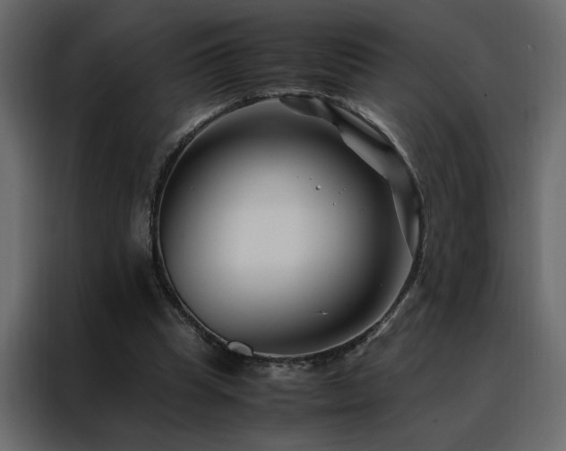 X0000088460345200705221347