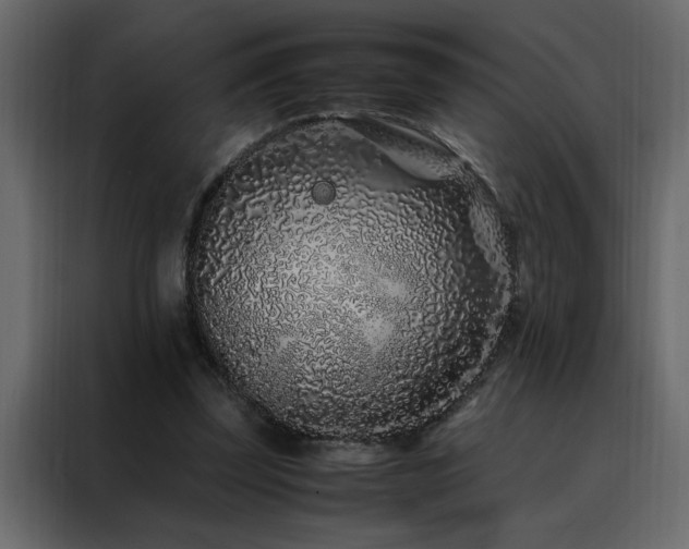 X0000088460347200705221347