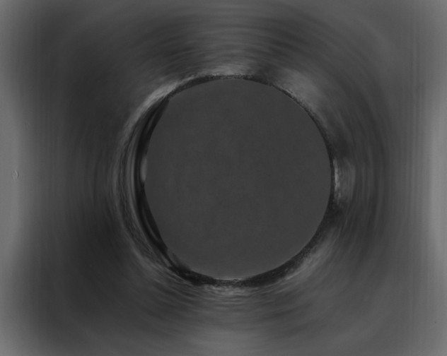 X0000088460348200705221347