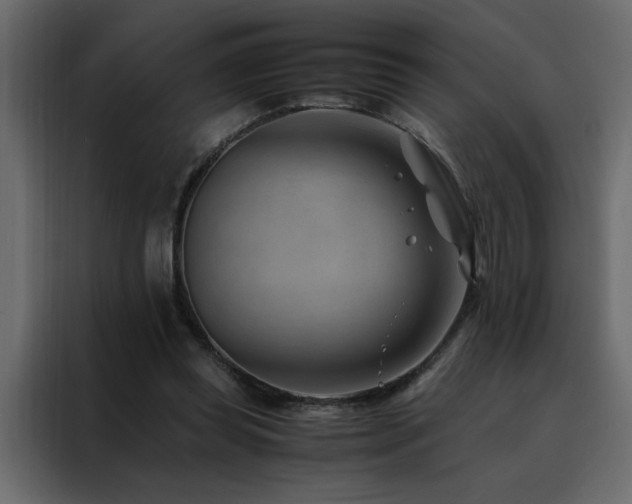 X0000088460349200705221347