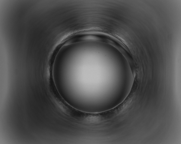 X0000088460350200705221347