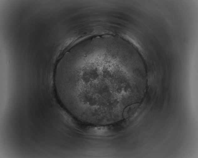 X0000088460353200705221347