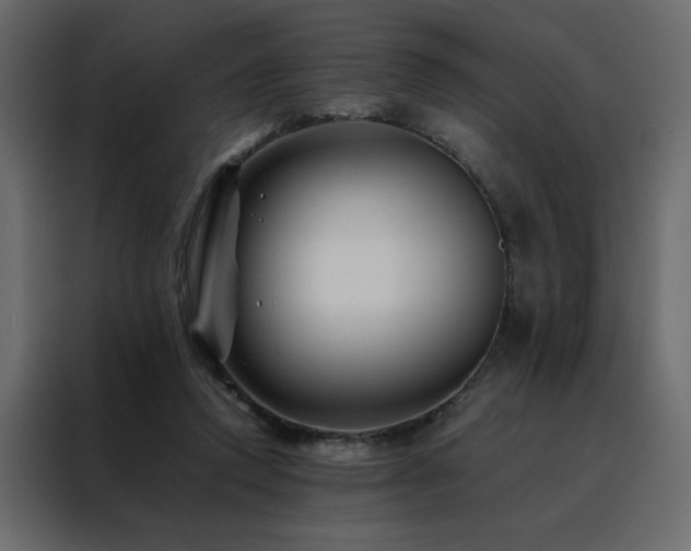 X0000088460354200705221347