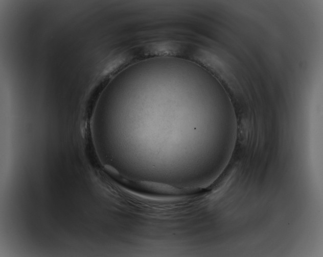 X0000088460355200705221347