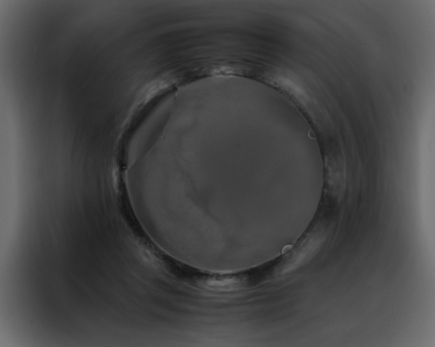 X0000088460357200705221347