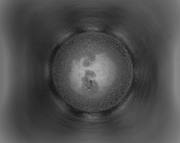 X0000088460359200705221347