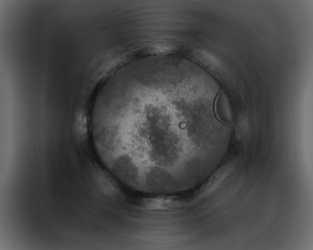 X0000088460366200705221347